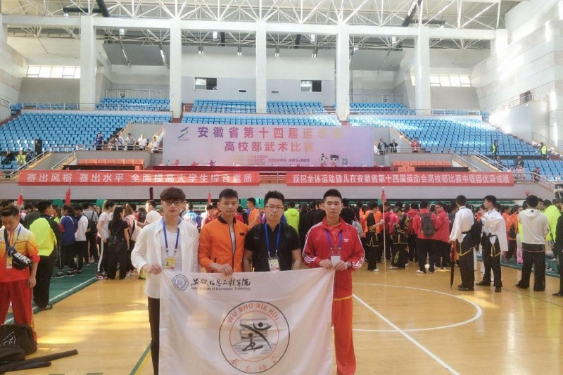 安徽省第十四届运动会高校部武术比赛现场.jpg